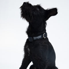 RIPNDIP Peek A Nerm Web Belt Pet Collar (Black)