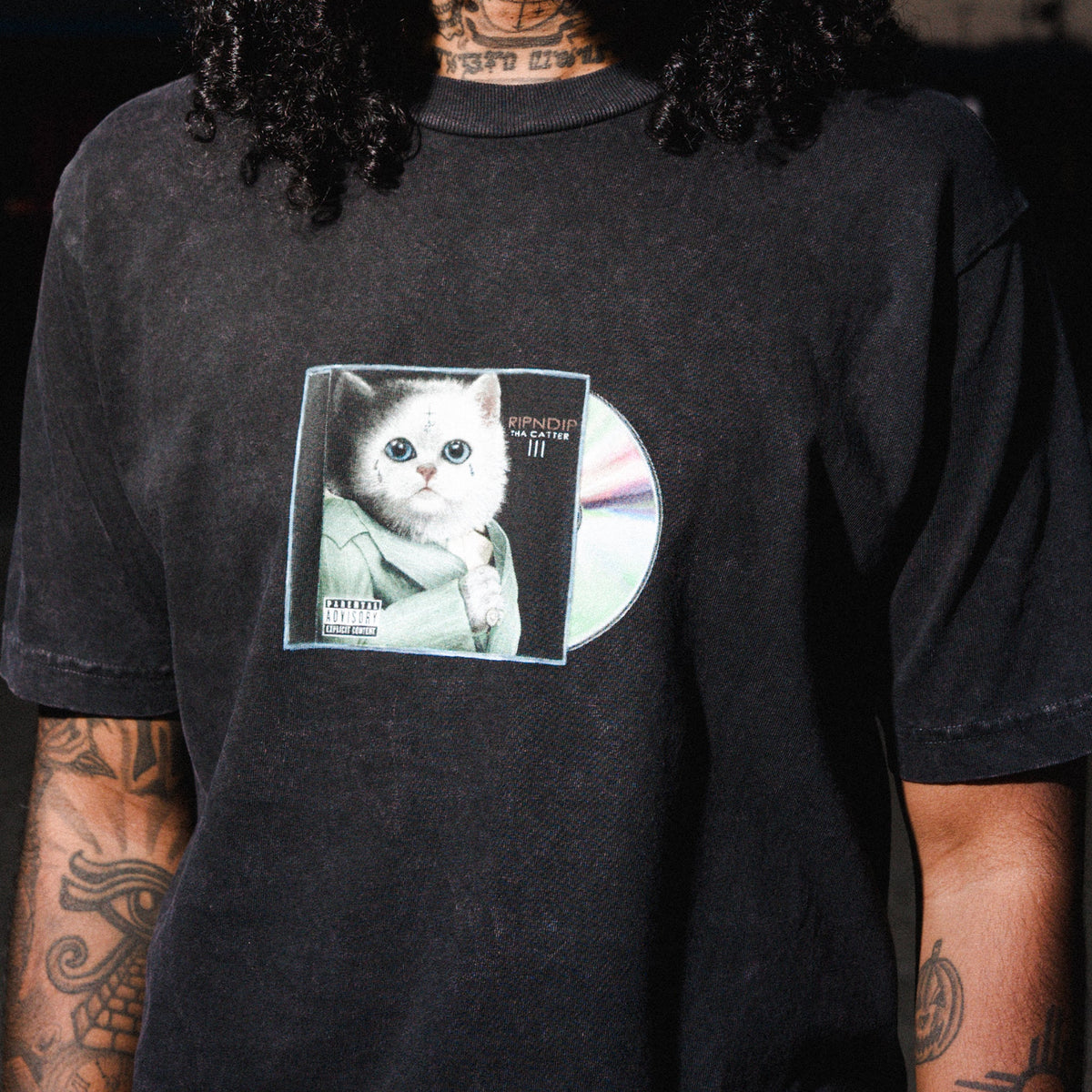 RIPNDIP Demo