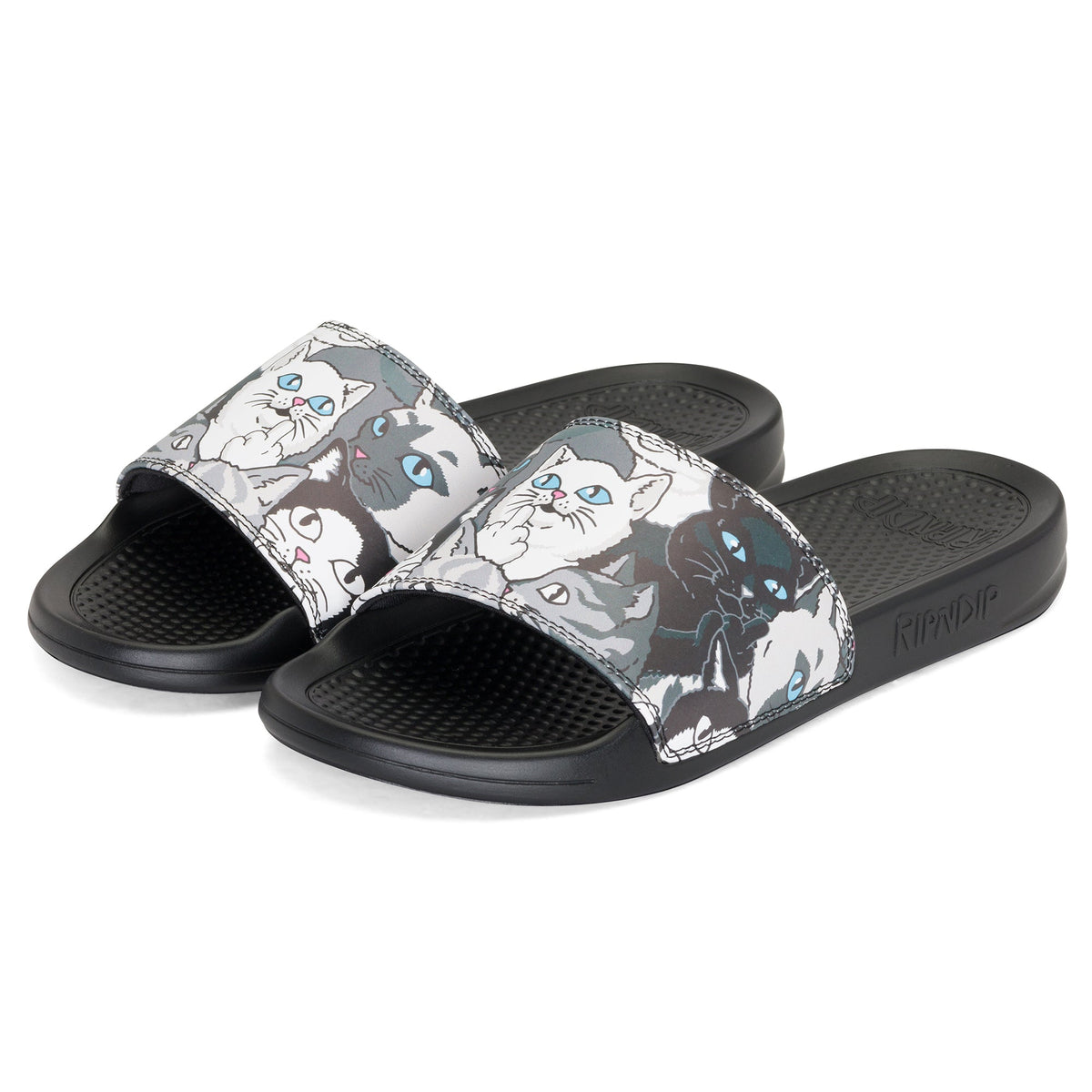 RIPNDIP Family Tree Slides (Multi)