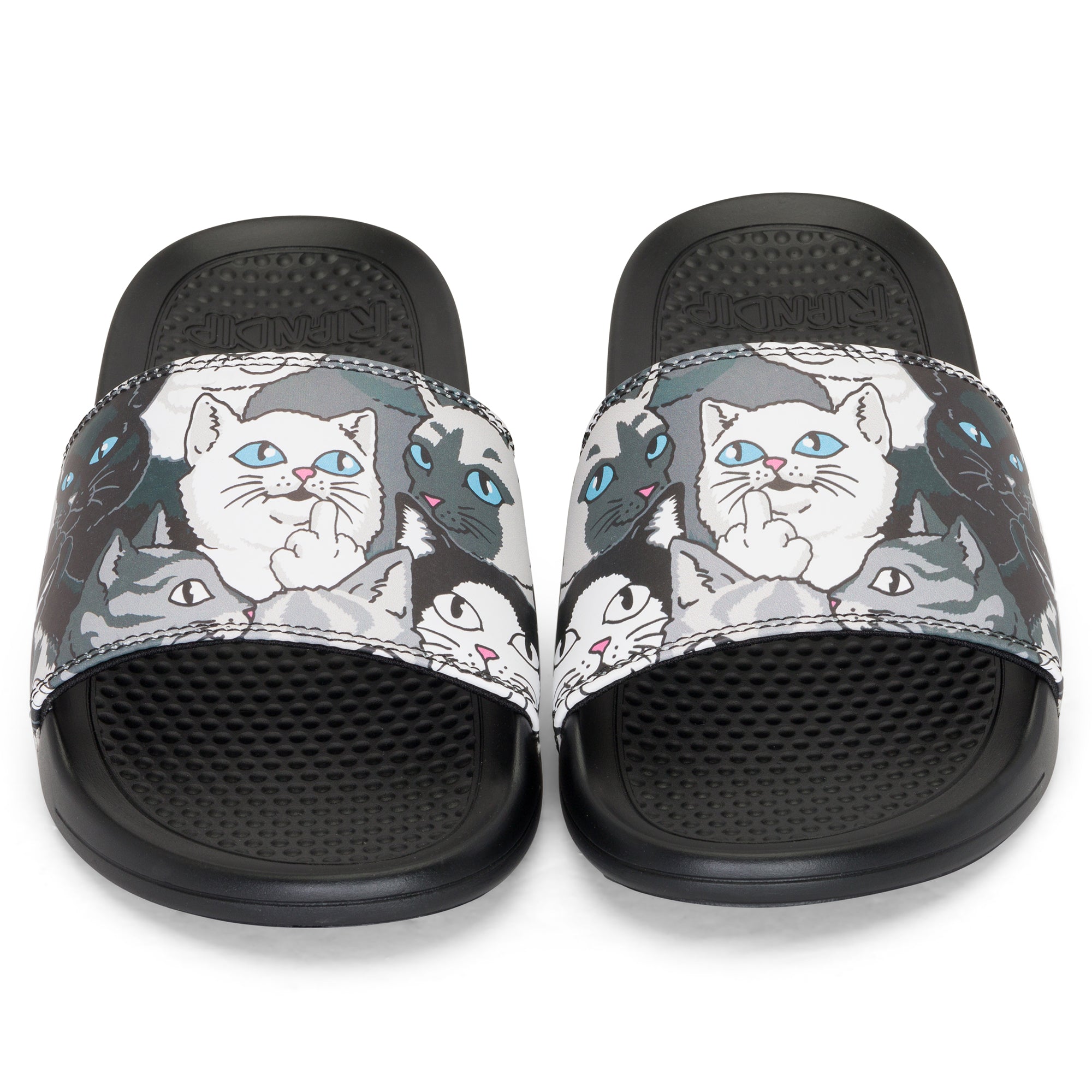 RIPNDIP Family Tree Slides (Multi)