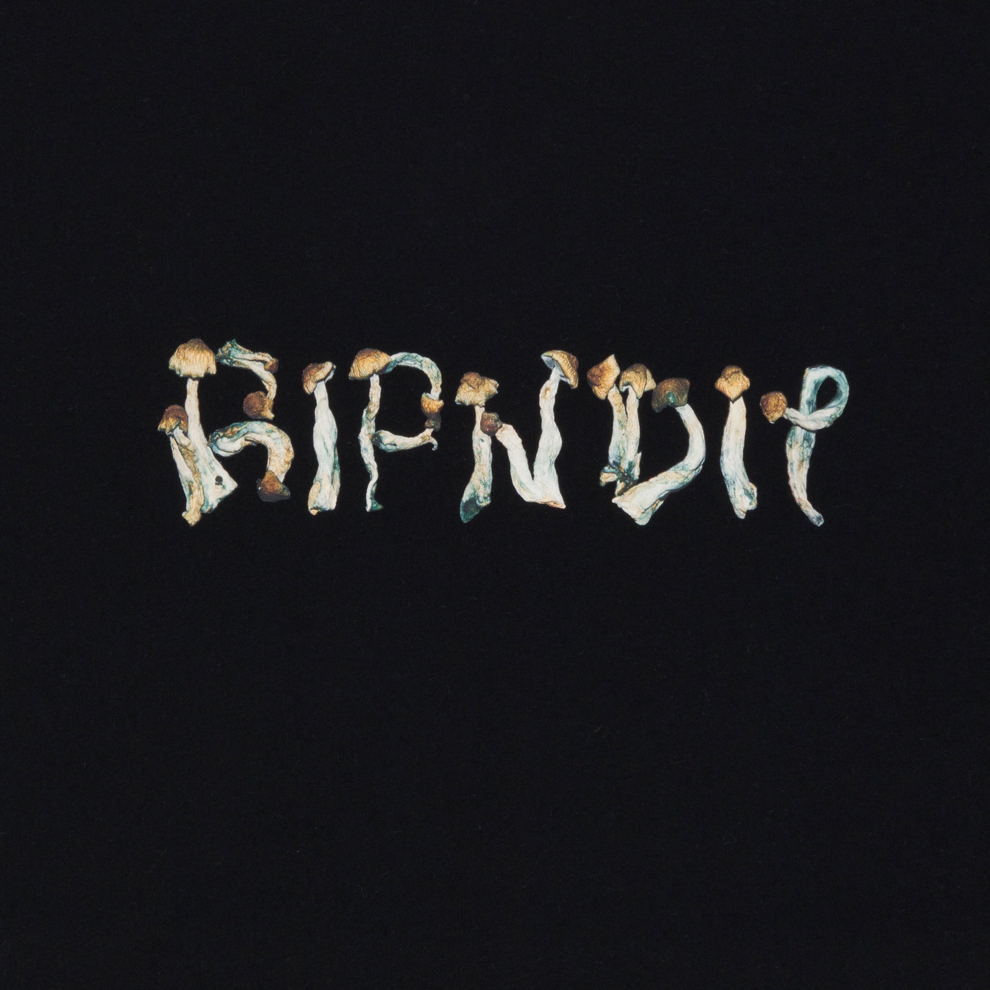 RIPNDIP Is This Real Life Tee (Black)