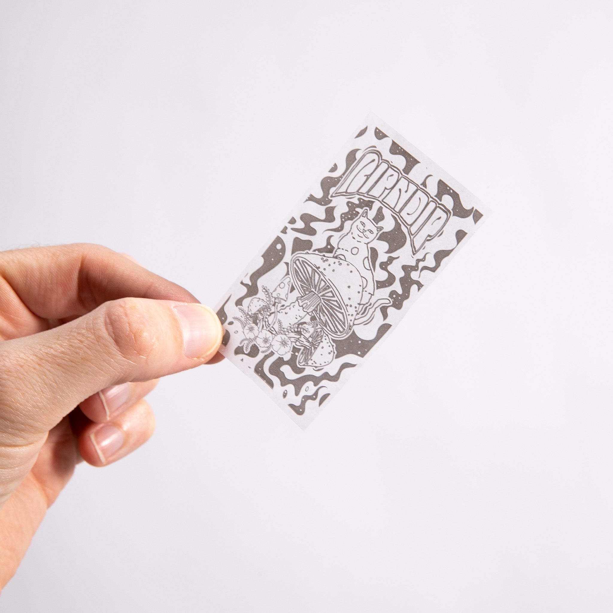 RIPNDIP Rolling Papers Mixed 12 Pack